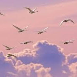 Meet your Posher, Edith